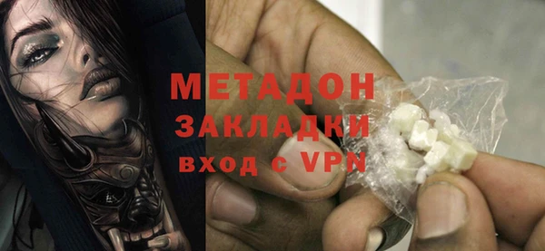 прущие грибы Абинск