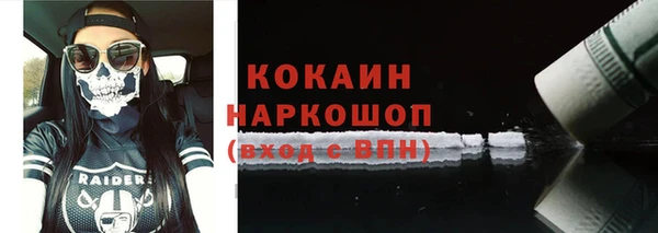 прущие грибы Абинск