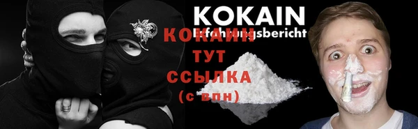 прущие грибы Абинск