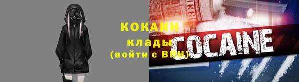 прущие грибы Абинск