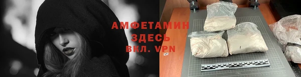 прущие грибы Абинск