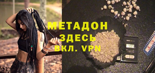 прущие грибы Абинск