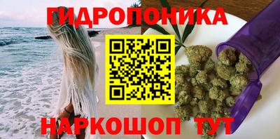 МДПВ Сланцы