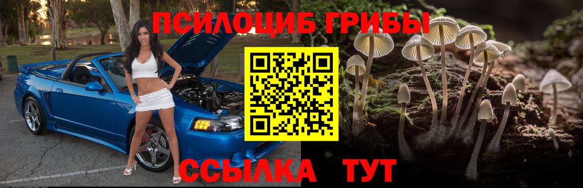 Псилоцибиновые грибы Magic Shrooms  наркотики  Ртищево  Галлюциногенные грибы Psilocybe  Вход с VPN 